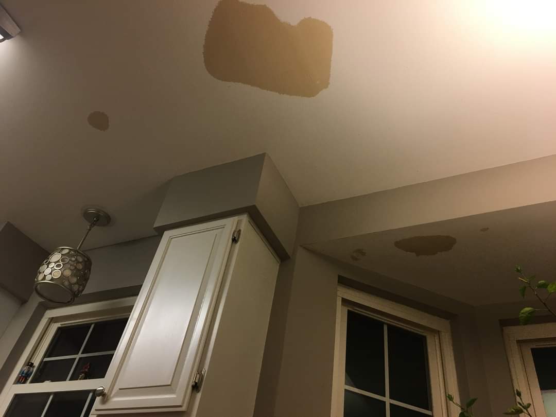 FB_IMG_1702276756625