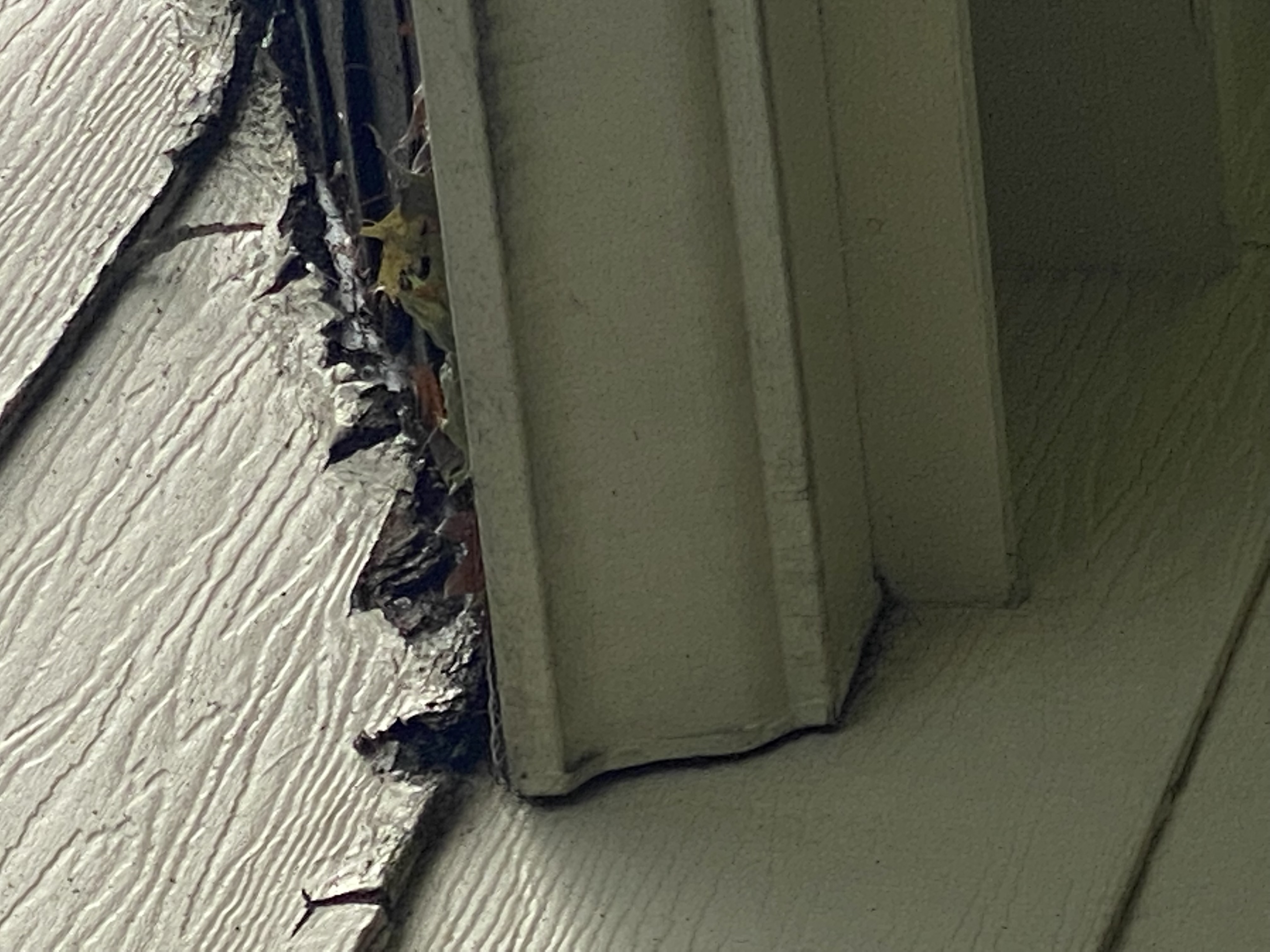 img Siding above Porch