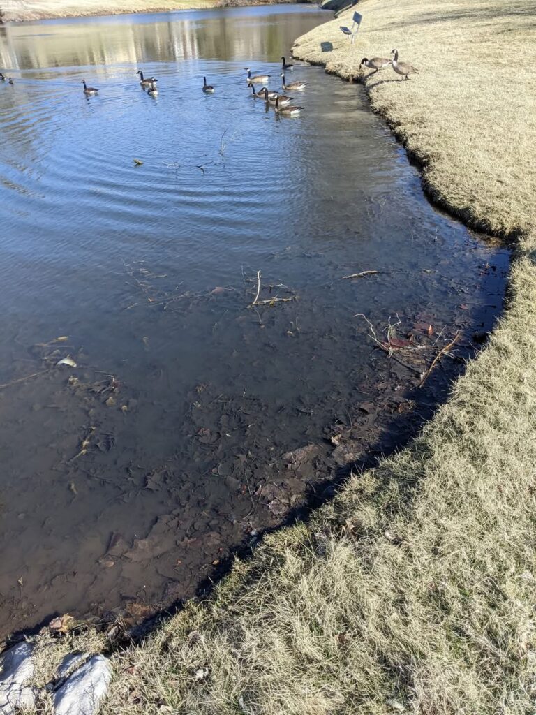 FB_IMG_1741825800571